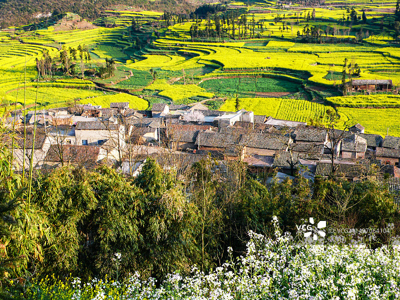 罗平油菜花~是云南曲靖罗平县打造的人造景观，主要是拍油菜花，玩金鸡峰、牛街、多依河及九龙瀑。图片素材