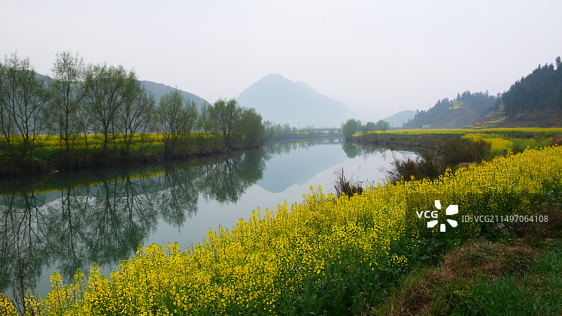 罗平油菜花~是云南曲靖罗平县打造的人造景观，主要是拍油菜花，玩金鸡峰、牛街、多依河及九龙瀑。图片素材