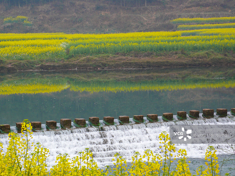 罗平油菜花~是云南曲靖罗平县打造的人造景观，主要是拍油菜花，玩金鸡峰、牛街、多依河及九龙瀑。图片素材