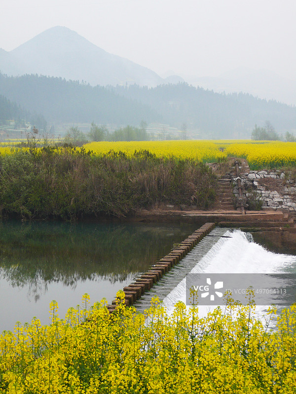 罗平油菜花~是云南曲靖罗平县打造的人造景观，主要是拍油菜花，玩金鸡峰、牛街、多依河及九龙瀑。图片素材
