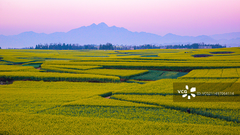 罗平油菜花~是云南曲靖罗平县打造的人造景观，主要是拍油菜花，玩金鸡峰、牛街、多依河及九龙瀑。图片素材