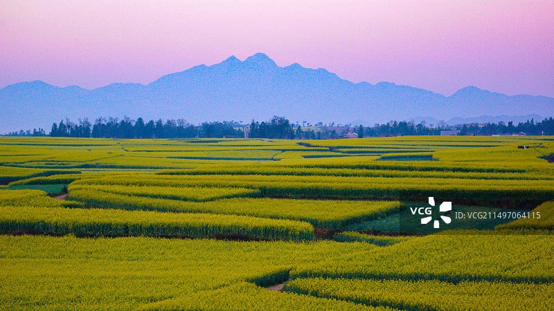 罗平油菜花~是云南曲靖罗平县打造的人造景观，主要是拍油菜花，玩金鸡峰、牛街、多依河及九龙瀑。图片素材