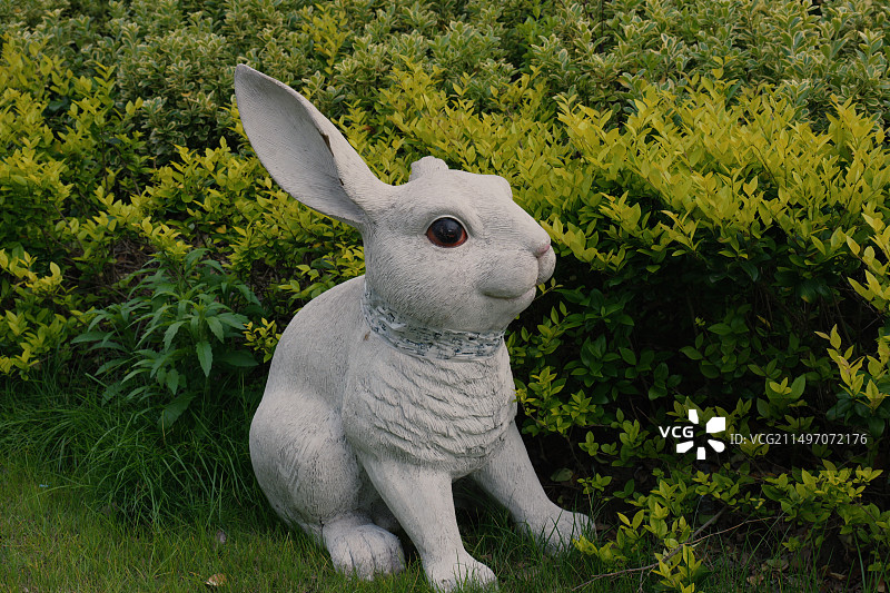 公园里的兔子图片素材