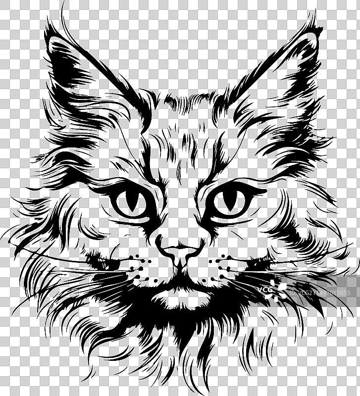 蓬松的猫头素描手绘图片素材