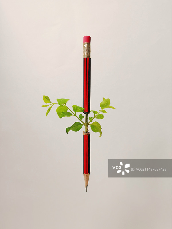 《百年树人》图片素材