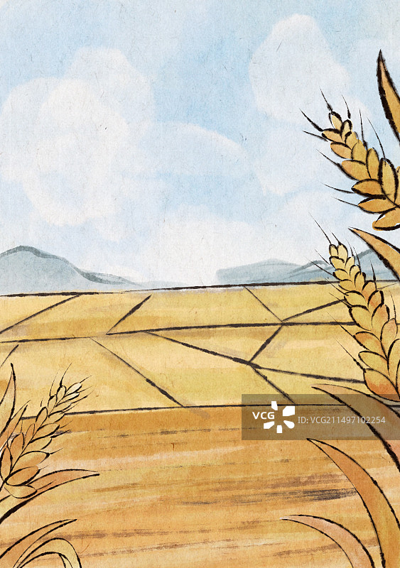 手绘水墨芒种小麦天空田地背景图片素材