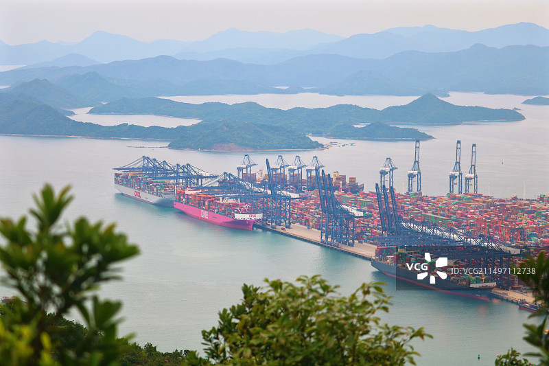 山顶眺望深圳盐田港图片素材