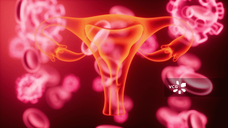 子宫与血细胞生物医疗概念动画图片素材