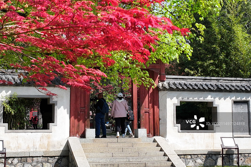 岱庙四月满园春图片素材