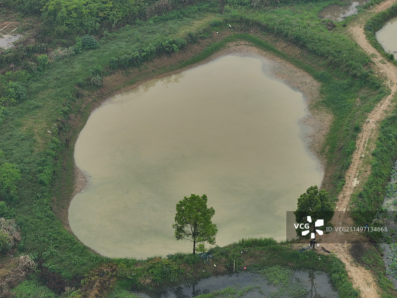 池塘图片素材