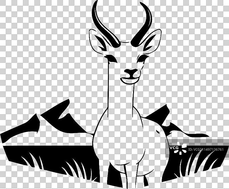 草地上的跳羚图片素材