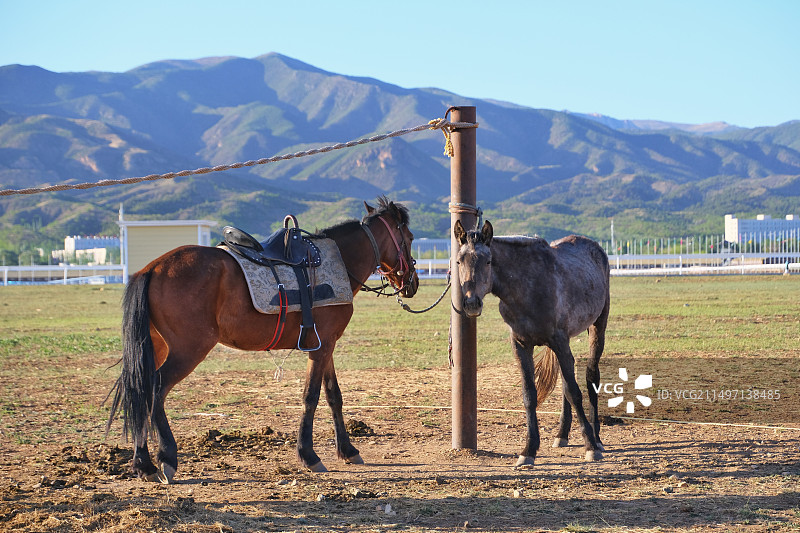 呼和浩特 敕勒川草原图片素材