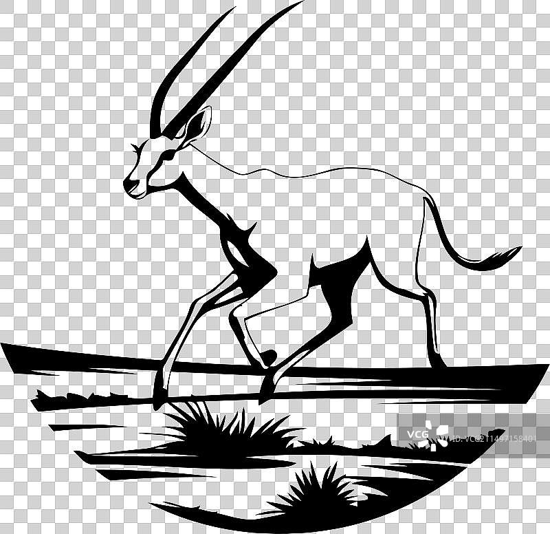 圆形背景中沙漠里的羚羊图片素材