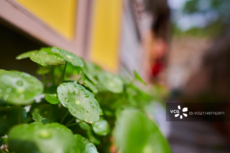 20240520北京门头沟爨底下村图片素材