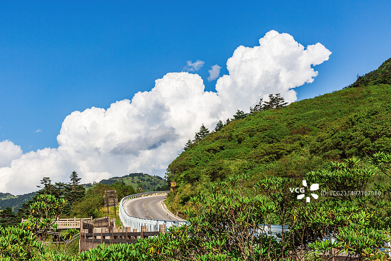 神农架国家级自然保护区图片素材
