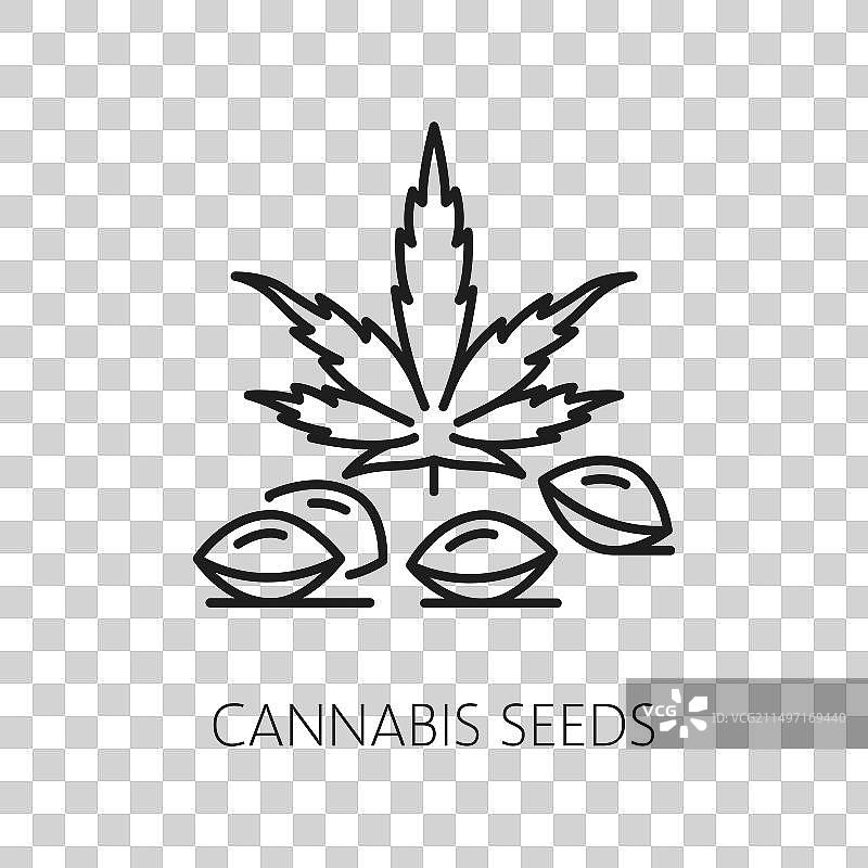 大麻种子线条图标图片素材