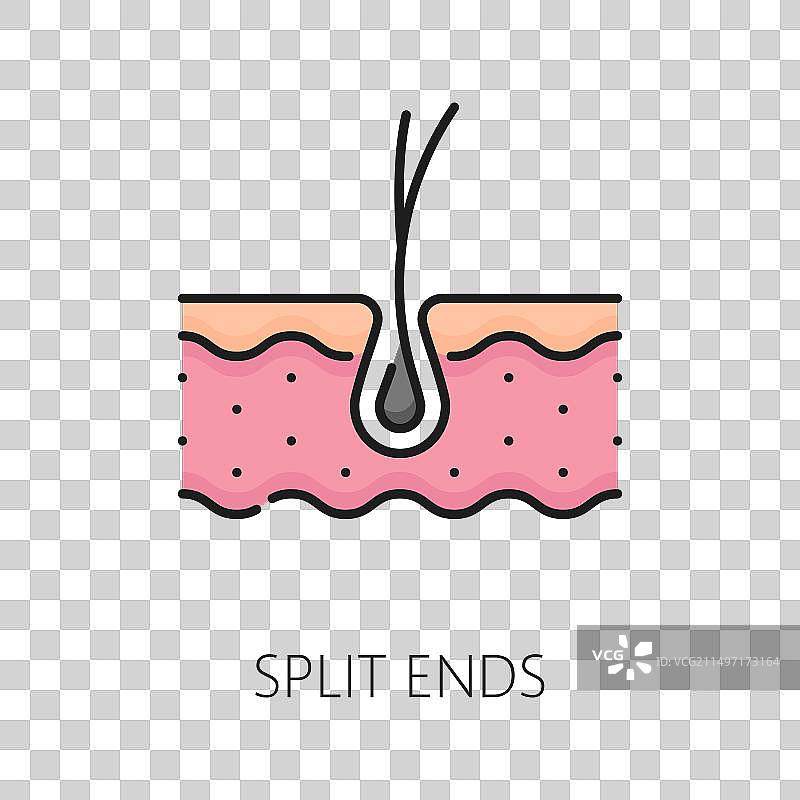 护理分叉发梢线性彩色图标图片素材