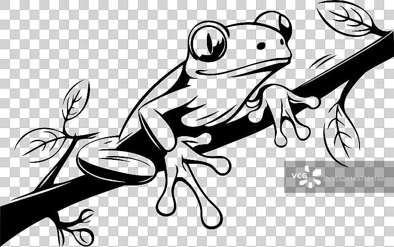 卡通绿树蛙与树枝树叶图片素材