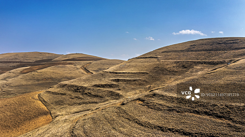 云南昭通市昭阳区大山包乡黑颈鹤国家自然保护区图片素材