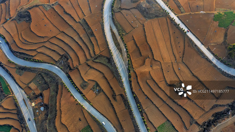 云南昭通市昭阳区大山包乡黑颈鹤国家自然保护区图片素材