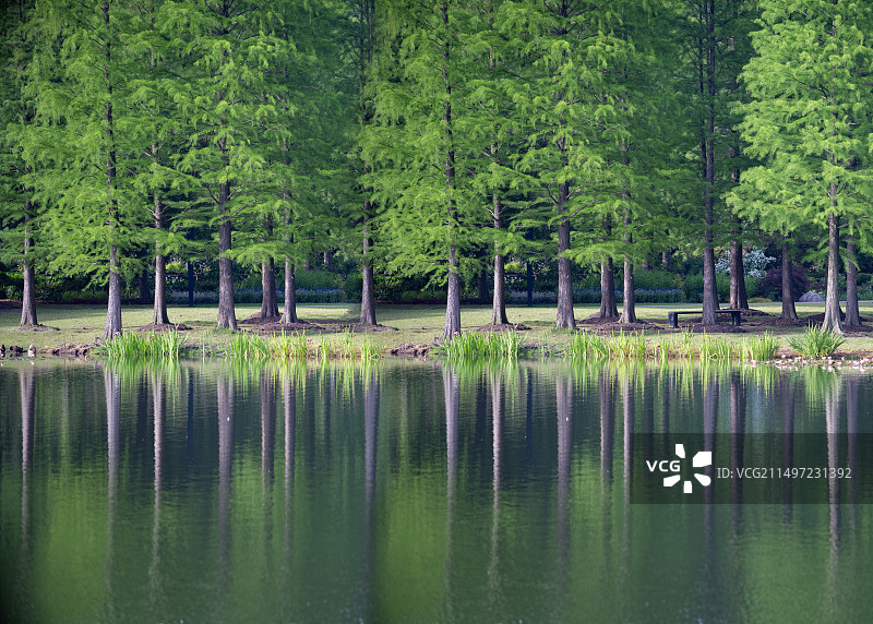 上海辰山植物园，风景图片素材