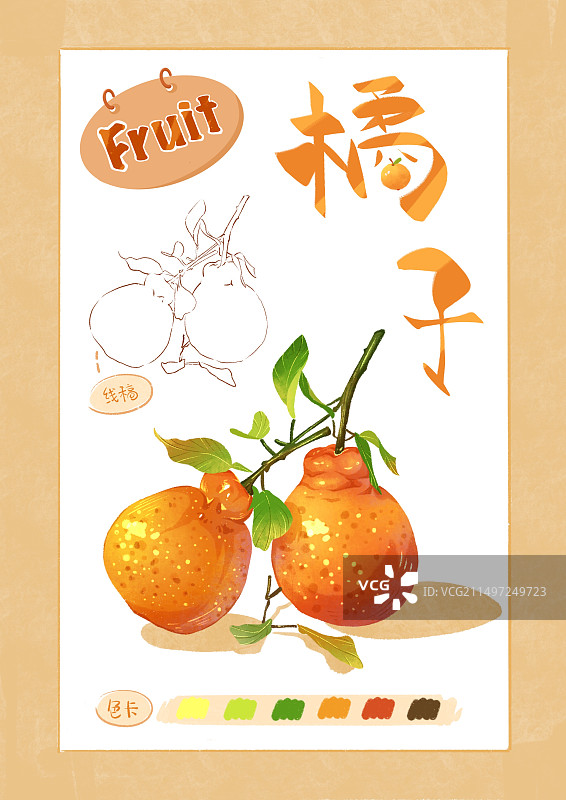 橘子夏日图片素材