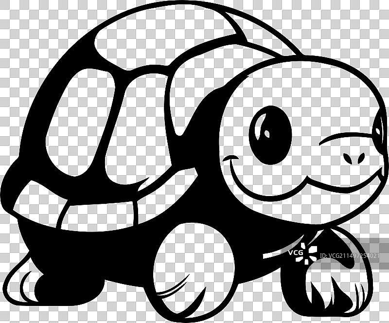 绿色背景上的可爱乌龟图片素材