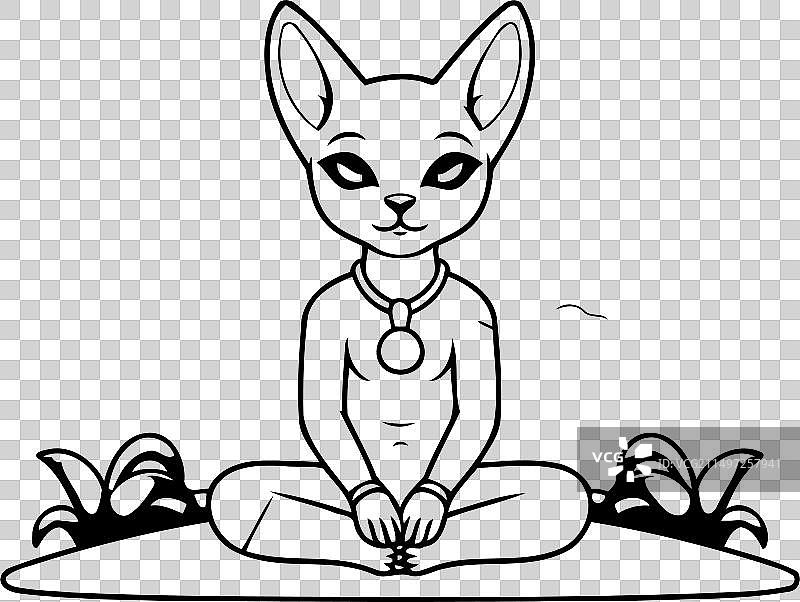 冥想中莲花坐姿的袋鼠图片素材