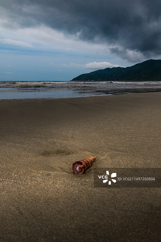 孤独的海螺图片素材