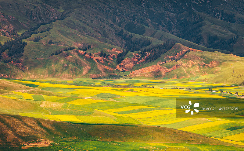 夏天的青海祁连卓尔山风光图片素材
