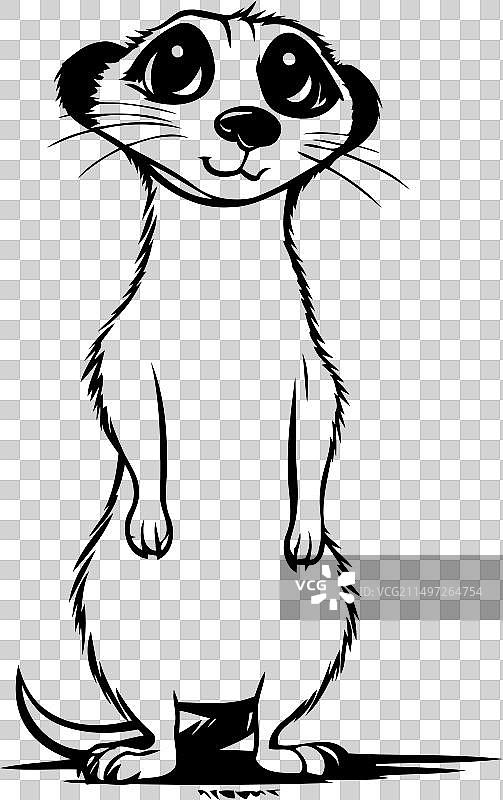 白色背景上手绘的细尾獴图片素材