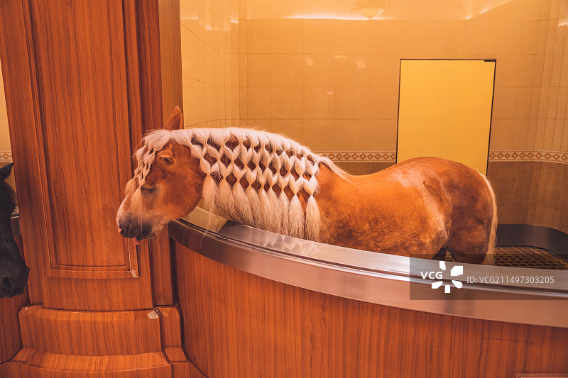 无锡江阴马文化博物馆图片素材