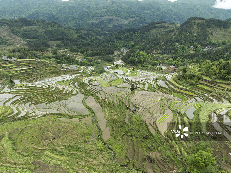重庆酉阳农忙时节花田梯田图片素材