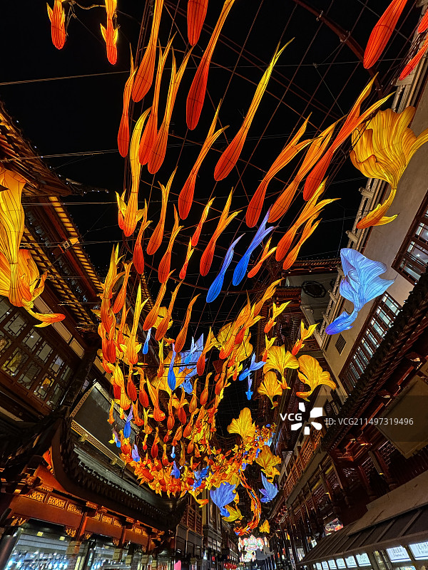 年年有鱼图片素材