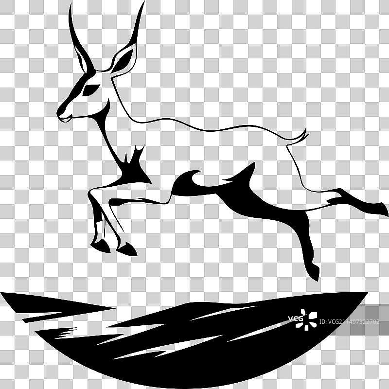 沙漠中的跳羚图片素材