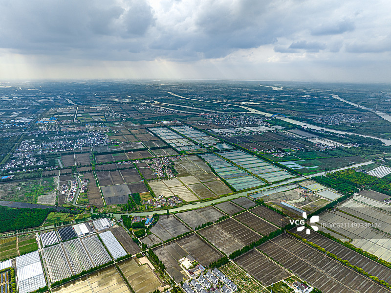 上海市郊农村田野风貌 农村里的水稻田 松江大米 农村合作社稻米种植加工基地图片素材