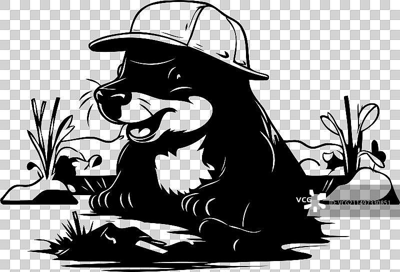 戴着帽子坐在河岸上的海狸图片素材