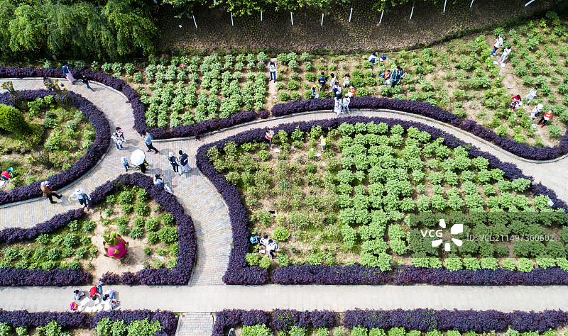 重庆垫江牡丹樱花世界景区图片素材