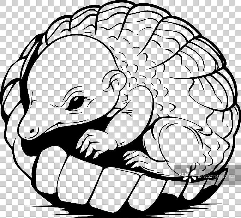 篮子里的可爱小针鼹宝宝图片素材