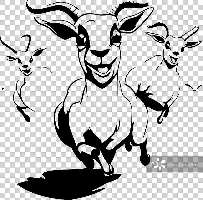 田野里奔跑的羊群野生动物图片素材