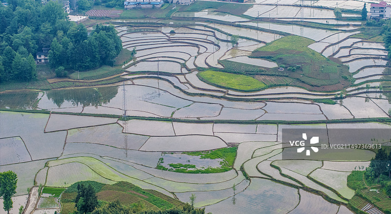 湖北利川南坪万亩稻田美如画图片素材
