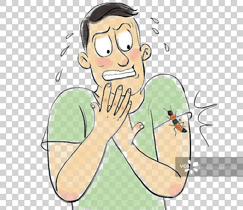 害怕的虫子图片素材