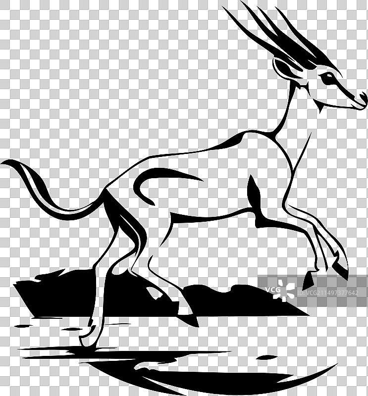 白色背景上的非洲瞪羚图片素材