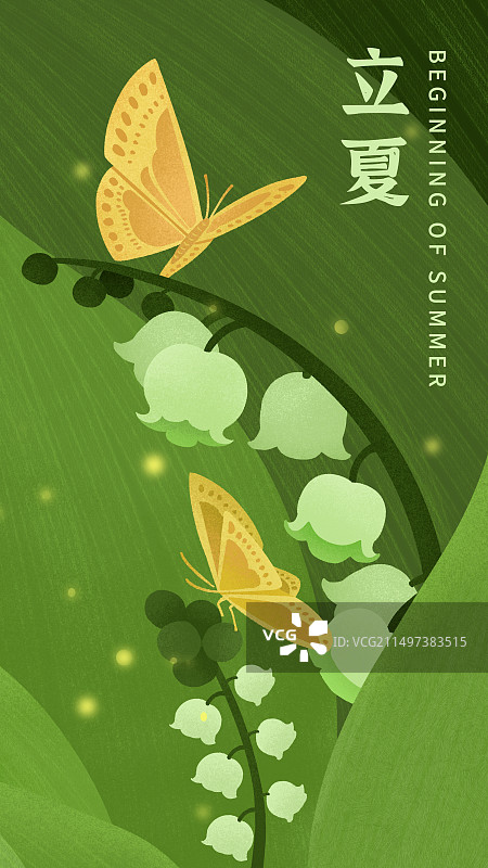 夏季节气蝴蝶在铃兰花朵从中授粉飞翔手绘插画图片素材
