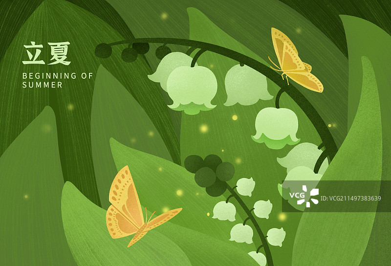 夏季节气蝴蝶在铃兰花朵从中授粉飞翔手绘插画图片素材