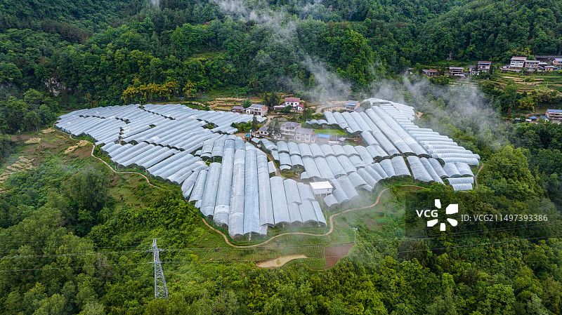 宣汉县南坪镇车厘子基地图片素材