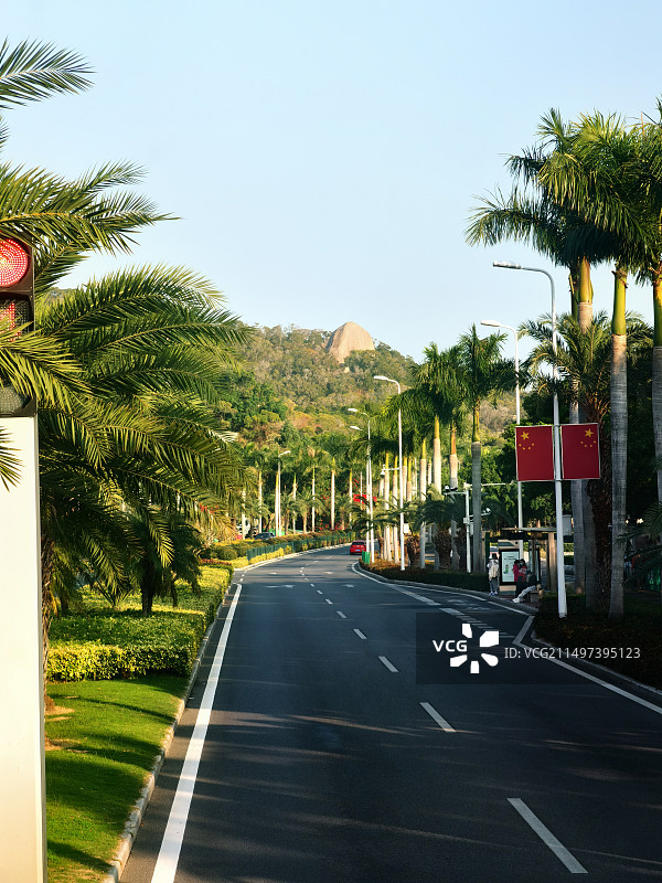 厦门环岛路图片素材