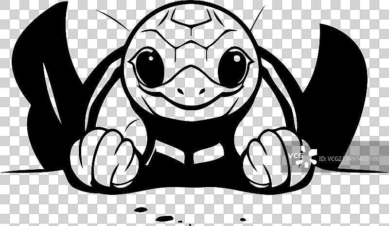 可爱的小乌龟坐在地上图片素材