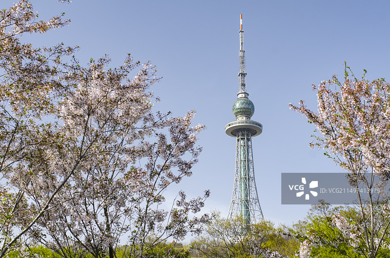 青岛中山公园电视塔图片素材