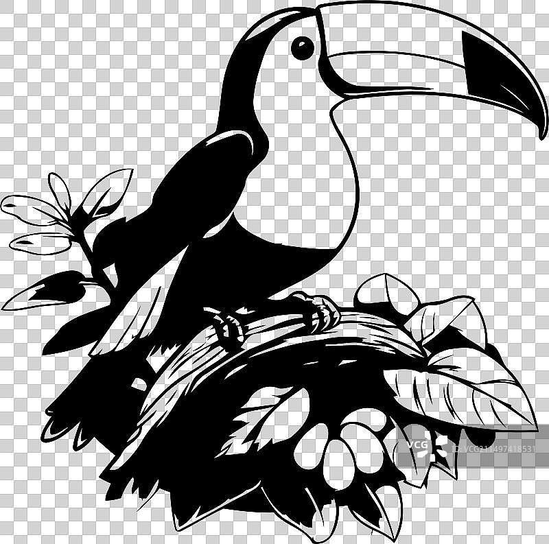 卡通风格的栖息在树枝上的巨嘴鸟图片素材